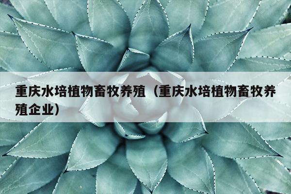 重庆水培植物畜牧养殖（重庆水培植物畜牧养殖企业）