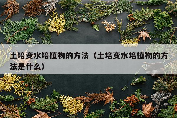 土培变水培植物的方法（土培变水培植物的方法是什么）