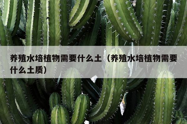 养殖水培植物需要什么土（养殖水培植物需要什么土质）