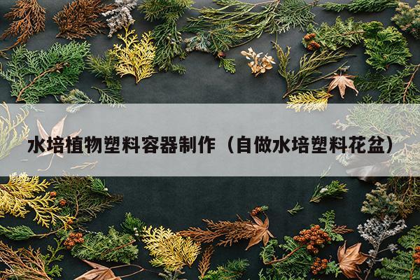 水培植物塑料容器制作（自做水培塑料花盆）