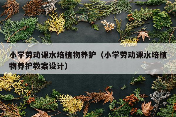 小学劳动课水培植物养护（小学劳动课水培植物养护教案设计）