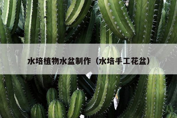 水培植物水盆制作（水培手工花盆）