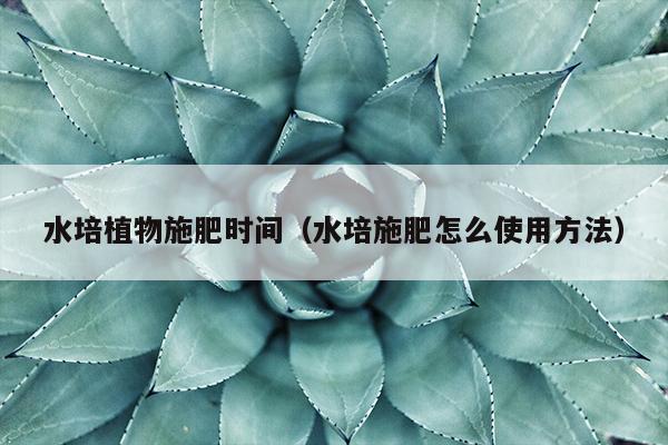 水培植物施肥时间（水培施肥怎么使用方法）