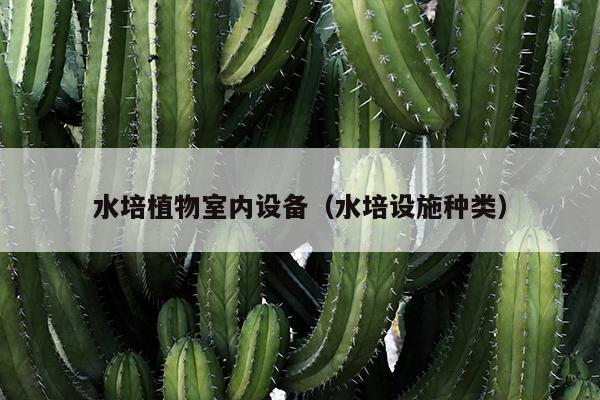 水培植物室内设备（水培设施种类）