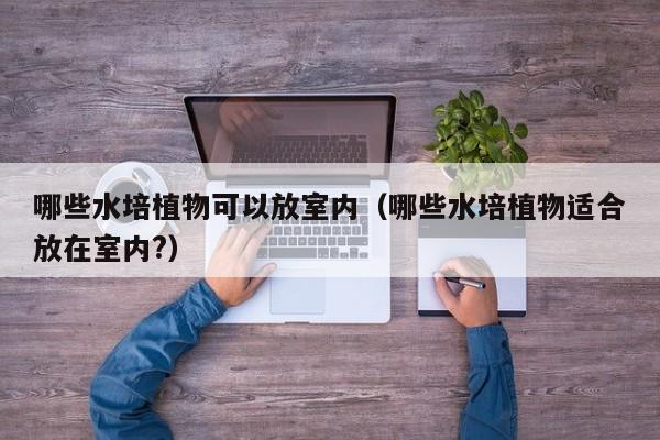 哪些水培植物可以放室内（哪些水培植物适合放在室内?）