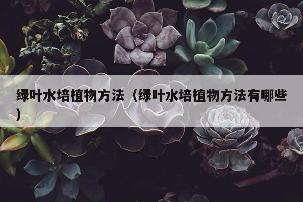 绿叶水培植物方法（绿叶水培植物方法有哪些）