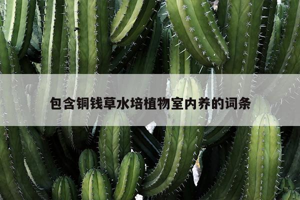 包含铜钱草水培植物室内养的词条