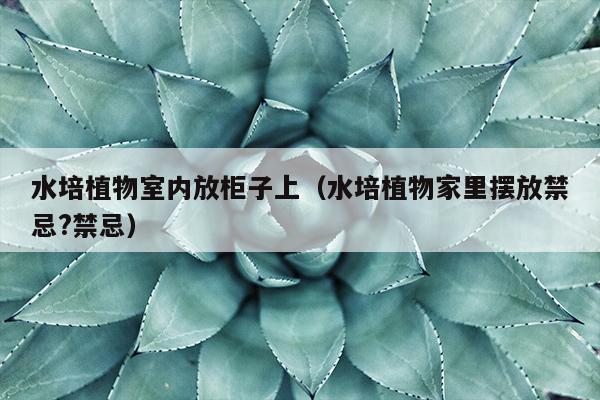 水培植物室内放柜子上（水培植物家里摆放禁忌?禁忌）