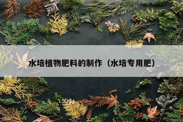 水培植物肥料的制作（水培专用肥）