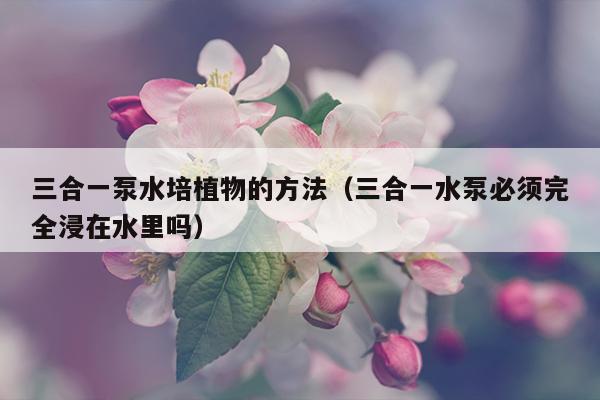 三合一泵水培植物的方法（三合一水泵必须完全浸在水里吗）