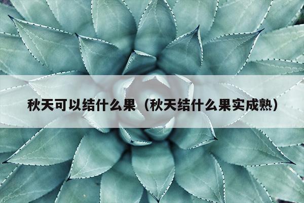 秋天可以结什么果（秋天结什么果实成熟）