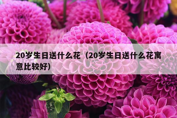 20岁生日送什么花（20岁生日送什么花寓意比较好）