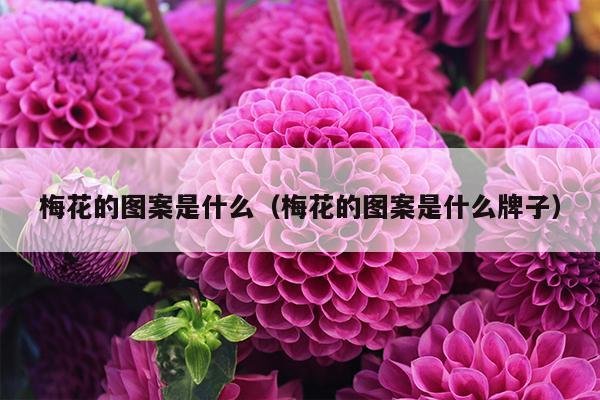 梅花的图案是什么（梅花的图案是什么牌子）