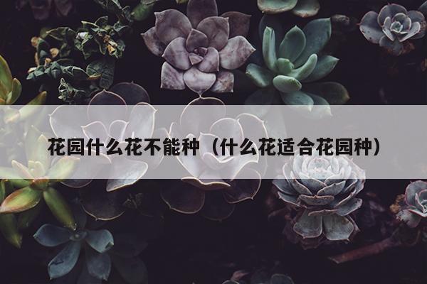 花园什么花不能种（什么花适合花园种）