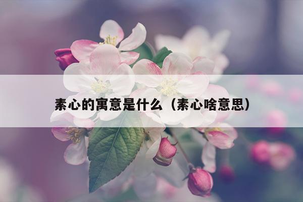 素心的寓意是什么（素心啥意思）