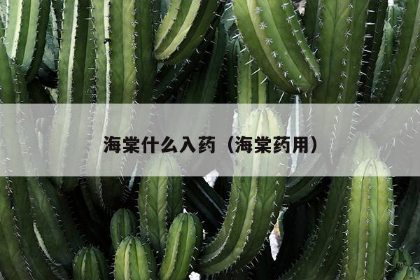 海棠什么入药（海棠药用）