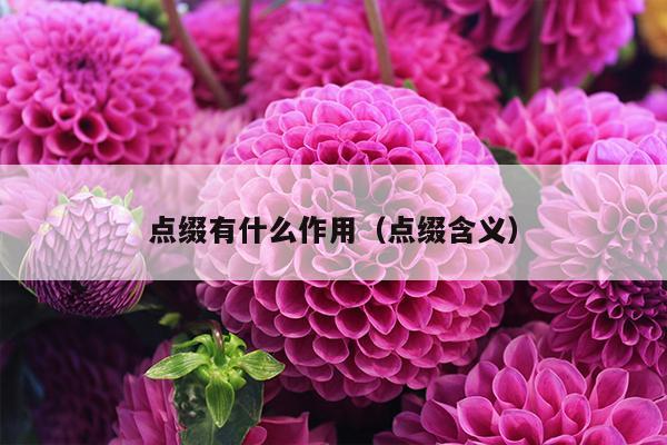 点缀有什么作用（点缀含义）