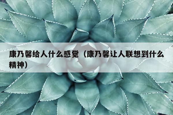 康乃馨给人什么感觉（康乃馨让人联想到什么精神）