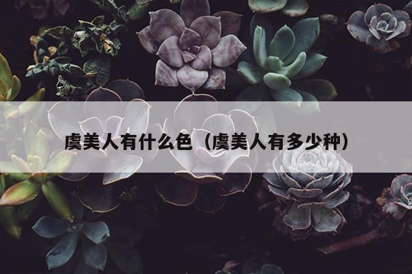 虞美人有什么色（虞美人有多少种）