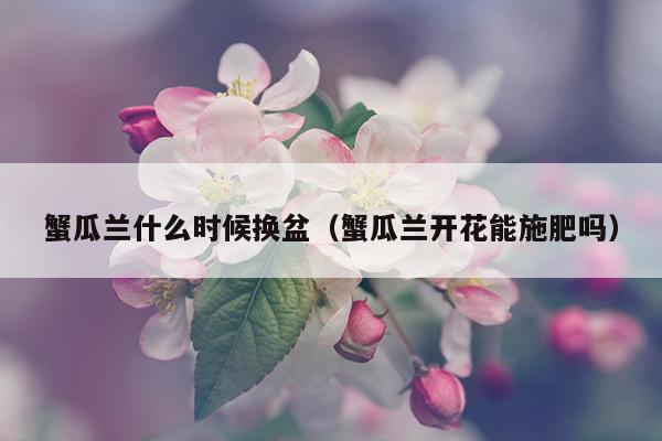 蟹瓜兰什么时候换盆（蟹瓜兰开花能施肥吗）