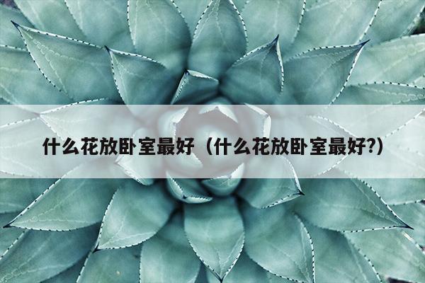 什么花放卧室最好（什么花放卧室最好?）