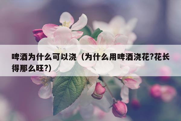 啤酒为什么可以浇（为什么用啤酒浇花?花长得那么旺?）