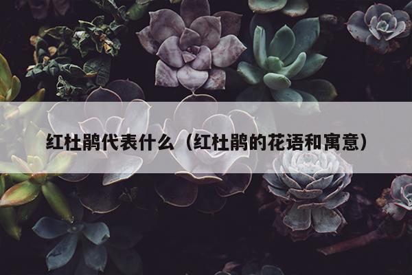 红杜鹃代表什么（红杜鹃的花语和寓意）