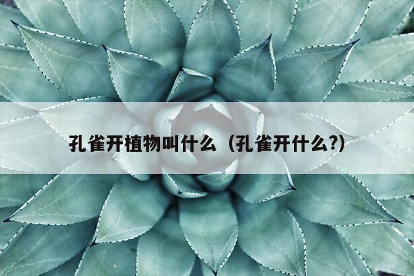 孔雀开植物叫什么（孔雀开什么?）