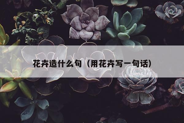 花卉造什么句（用花卉写一句话）