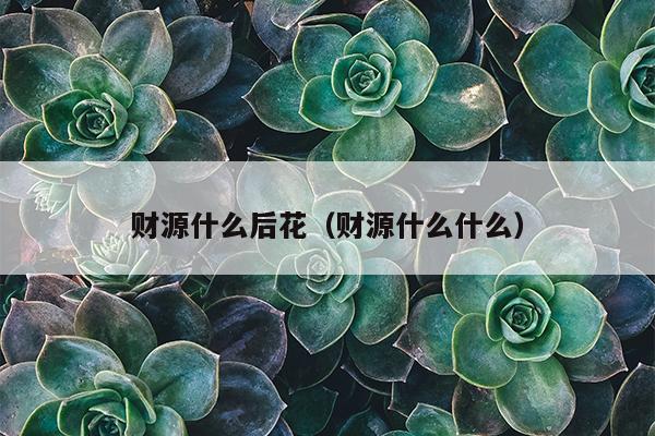 财源什么后花（财源什么什么）