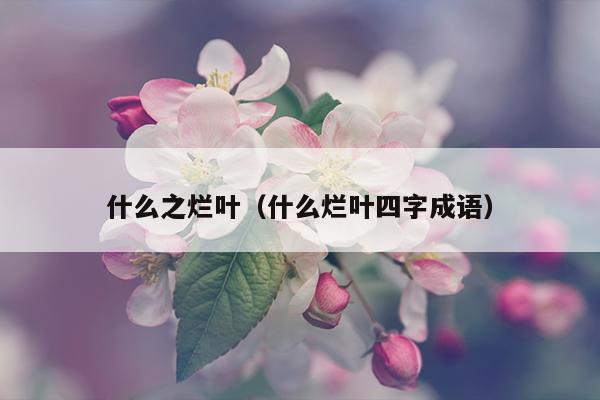 什么之烂叶（什么烂叶四字成语）