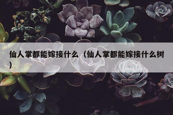 仙人掌都能嫁接什么（仙人掌都能嫁接什么树）