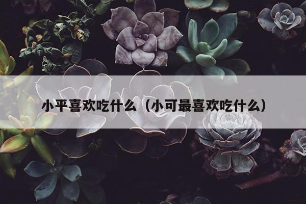 小平喜欢吃什么（小可最喜欢吃什么）