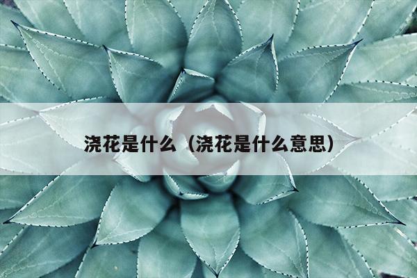 浇花是什么（浇花是什么意思）