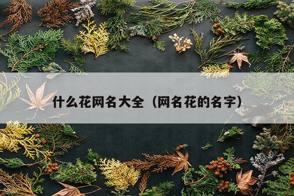 什么花网名大全（网名花的名字）