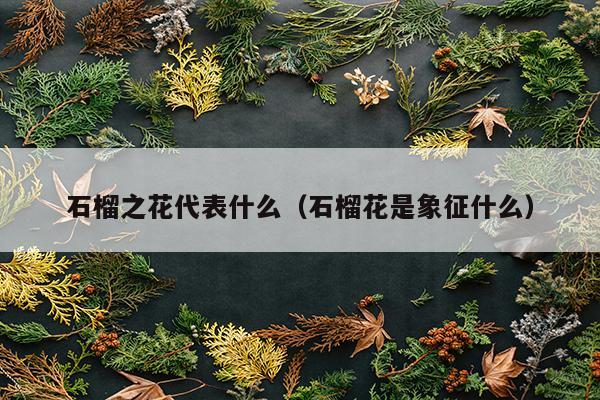 石榴之花代表什么（石榴花是象征什么）