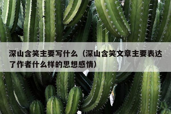 深山含笑主要写什么（深山含笑文章主要表达了作者什么样的思想感情）