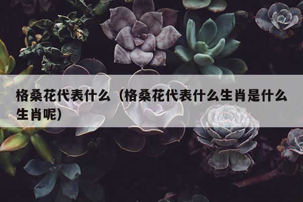 格桑花代表什么（格桑花代表什么生肖是什么生肖呢）