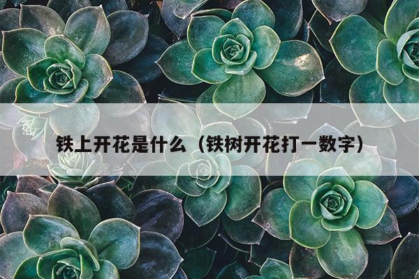 铁上开花是什么（铁树开花打一数字）