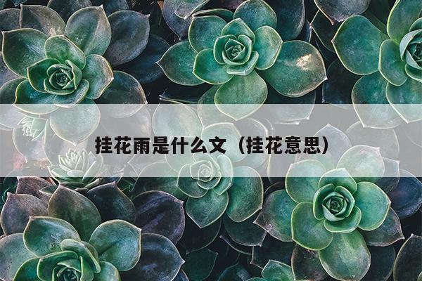 挂花雨是什么文（挂花意思）