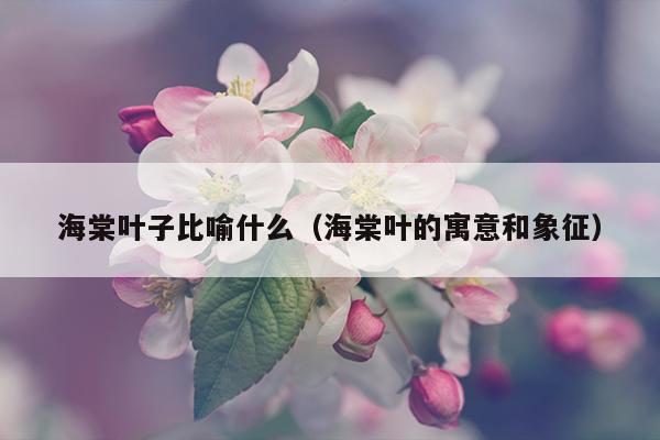 海棠叶子比喻什么（海棠叶的寓意和象征）