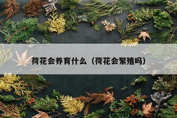 荷花会养育什么（荷花会繁殖吗）