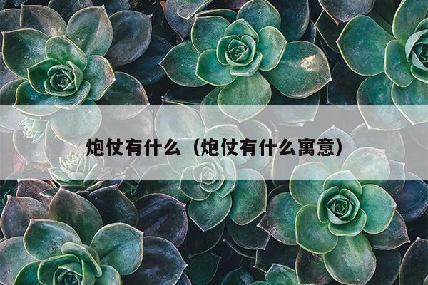 炮仗有什么（炮仗有什么寓意）