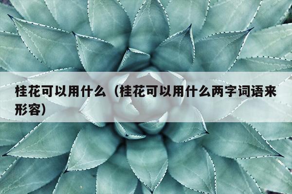 桂花可以用什么（桂花可以用什么两字词语来形容）