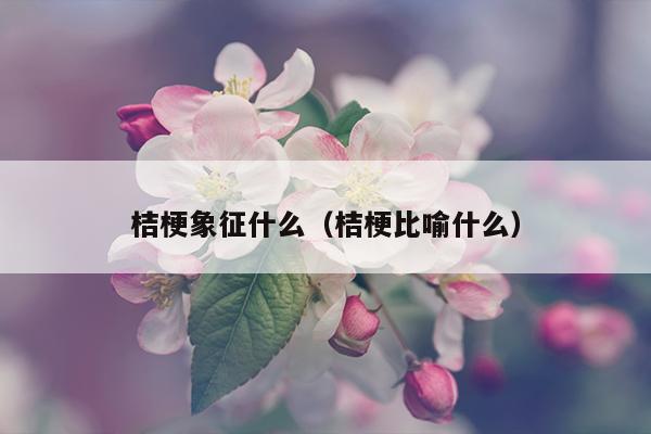 桔梗象征什么（桔梗比喻什么）