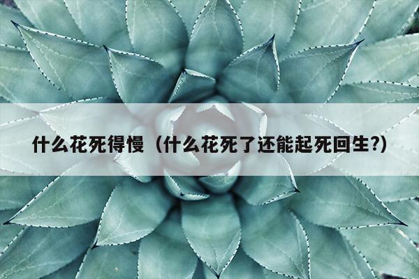 什么花死得慢（什么花死了还能起死回生?）