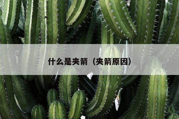 什么是夹箭（夹箭原因）