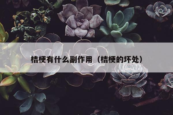 桔梗有什么副作用（桔梗的坏处）