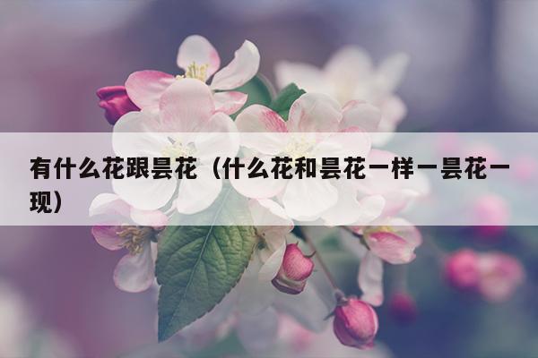 有什么花跟昙花（什么花和昙花一样一昙花一现）