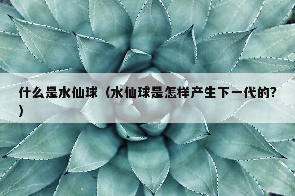 什么是水仙球（水仙球是怎样产生下一代的?）